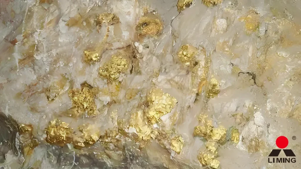 Gold ore samples for mineral processing analysis